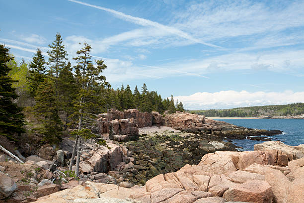 istock Thunder hole in Acadia National Park at Maine 499260467