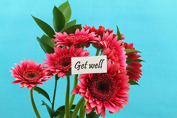 istock Get well card with dark pink gerbera daisies 499261025