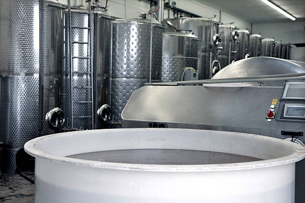 istock Production of wine in winery 499261244