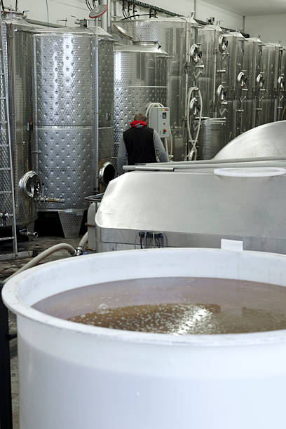 istock Production of wine in winery 499262720