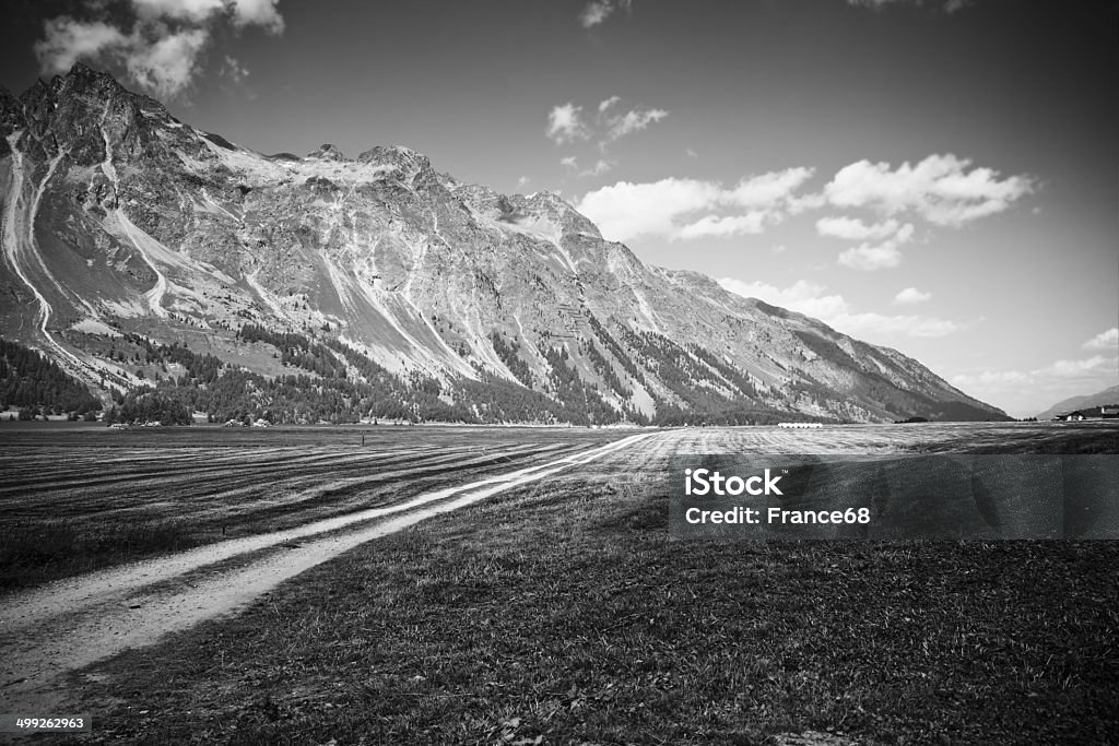 Strada di campagna intorno al Lago Sils (Svizzera) - Foto stock royalty-free di Alpi