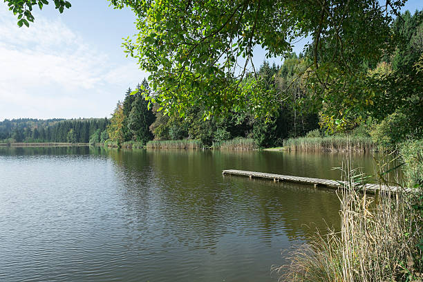 istock Lake close to the Bavarian Alps 499263222