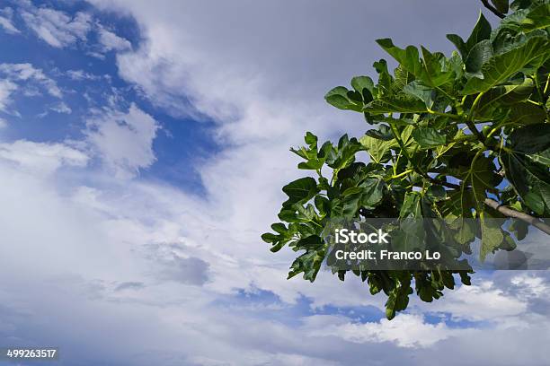 Sky On Mediterranean Hills Stock Photo - Download Image Now - Agriculture, Beauty In Nature, Biology