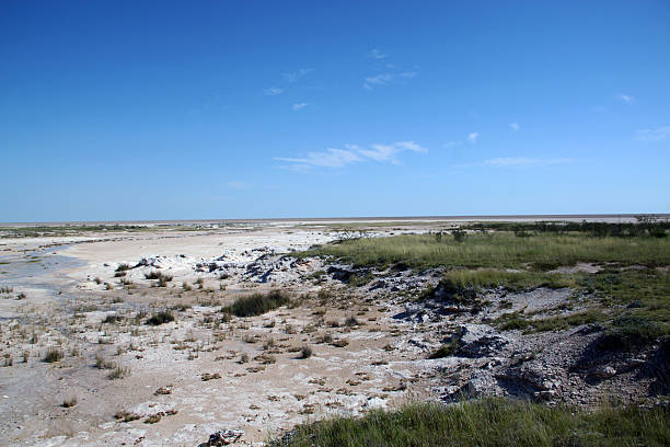 istock Namibia: The Pan at Etosha National Park 499264475