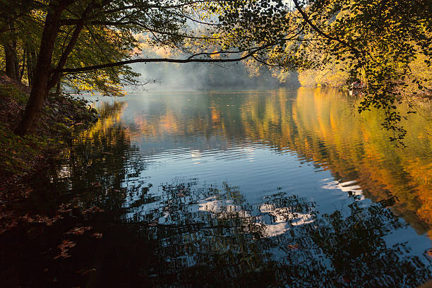 istock Colours of Autumn 499265128