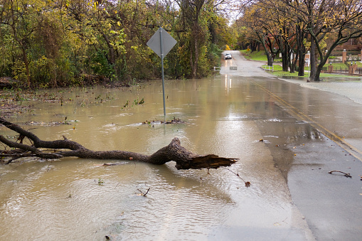 After two days and nights of heavy November rains, a roadblock prevents a vehicle from crossing the road where Little Bear Creek overflows its banks pushing logs and debris downstream past homes as it flows over Bedford Road in the suburb of Colleyville, in Dallas Texas.