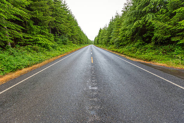 istock Olympic National Park at Washington State 499274157