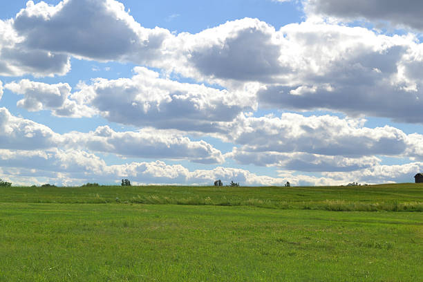 Granaries in summer in Alberta