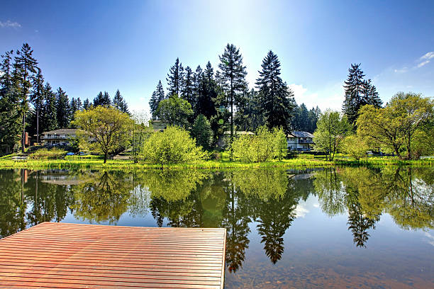 istock Beautiful summer view of lake from dock 499277041