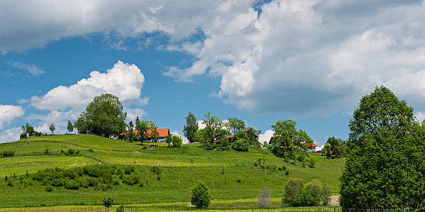 istock green hill with bushes trees and house 499277499