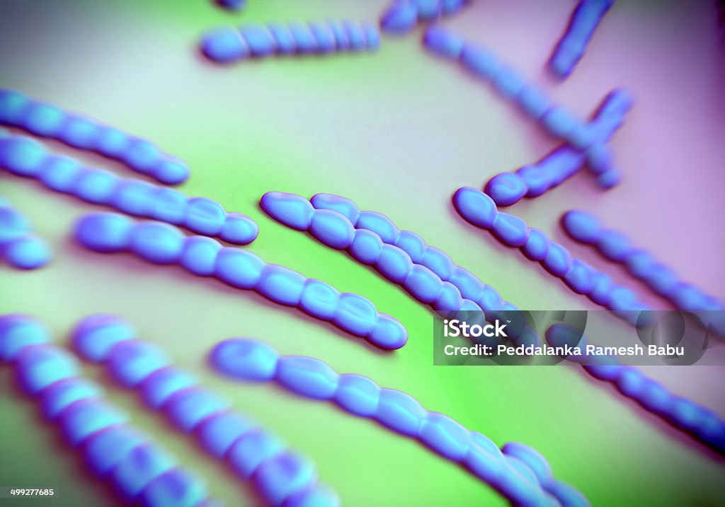 Streptococcus pneumoniae, Bakterien Illustrationen - Lizenzfrei Atemübung Stock-Foto