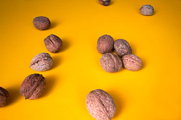istock Whole Walnuts Scattered Around on Vibrant Gold Background 499280176