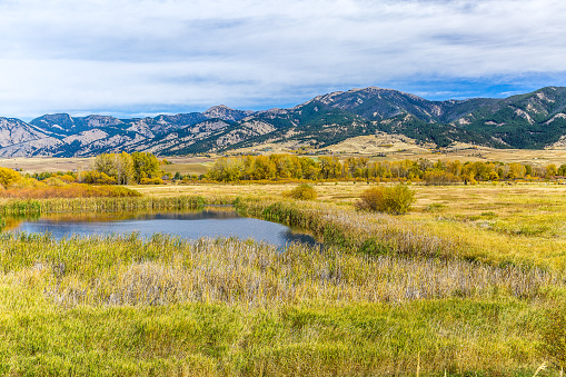 A pond in beautiful autumn fields at the foot of the Bridger mountain range in Cherry Creek Nature Preserve on the outskirts of Bozeman, Montana