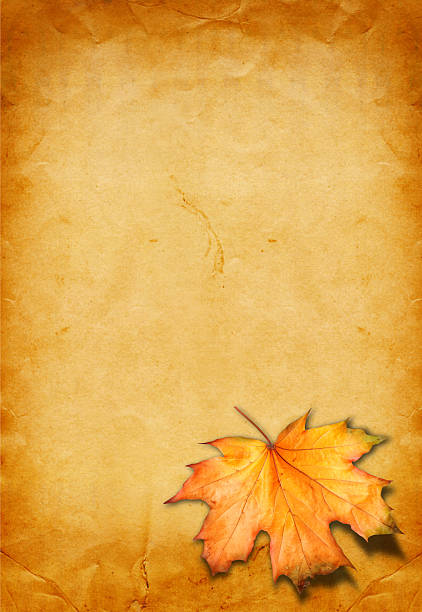 papel grunge com design em estilo de scrapbooking photoframe - dry leaves audio - fotografias e filmes do acervo