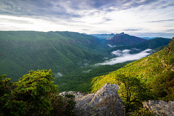 istock Panoramic Linville Vista 499281583