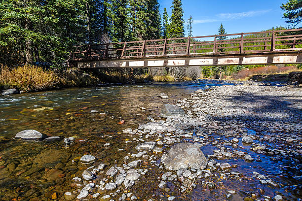 istock Hyalite Canyon Creek 499282296