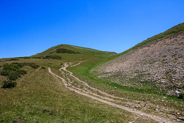 istock sandy footpath to top of mountain covered with alpine meadows 499282936