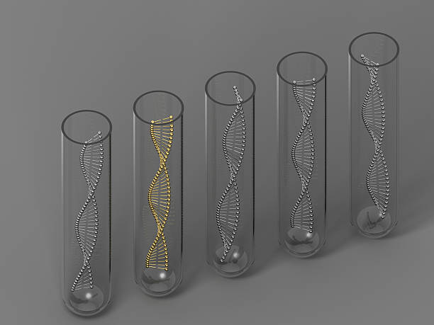 Test tubes with DNA structures stock photo