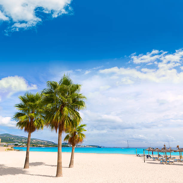 istock Majorca Platja Palmanova beach Son Maties Mallorca 499283606