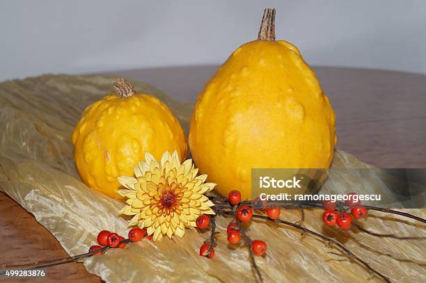 Pumpkins And Red Berries Stock Photo - Download Image Now - 2015, Autumn, Berry Fruit