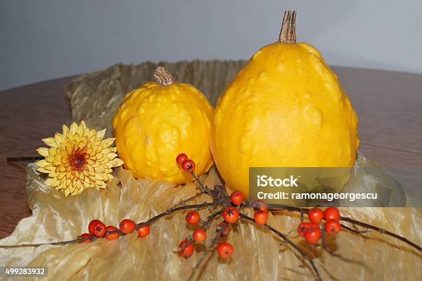 Pumpkins And Red Berries Stock Photo - Download Image Now - 2015, Autumn, Berry Fruit