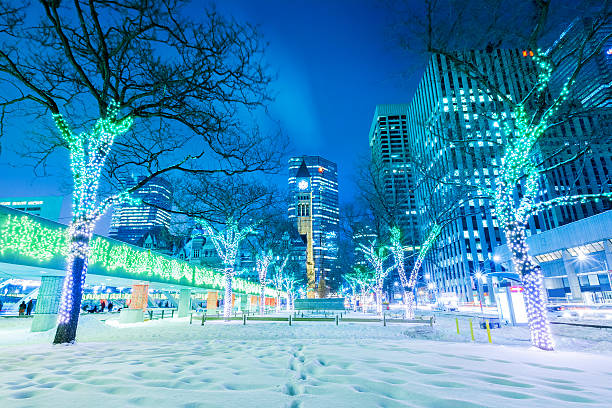 Photo of a winter night in downtown Toronto with trees, Christmas lights, the Old City Hall and Queen Street.