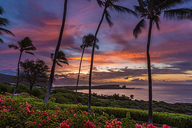 lanai sunrise - lanai photos et images de collection