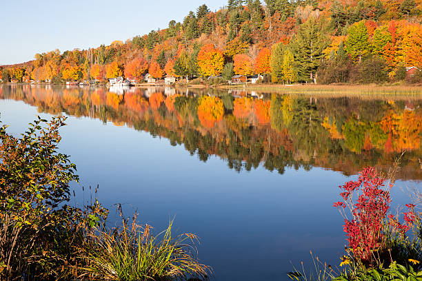istock Fall Colors Reflected in Calm Lake with Foreground Bushes 499285202