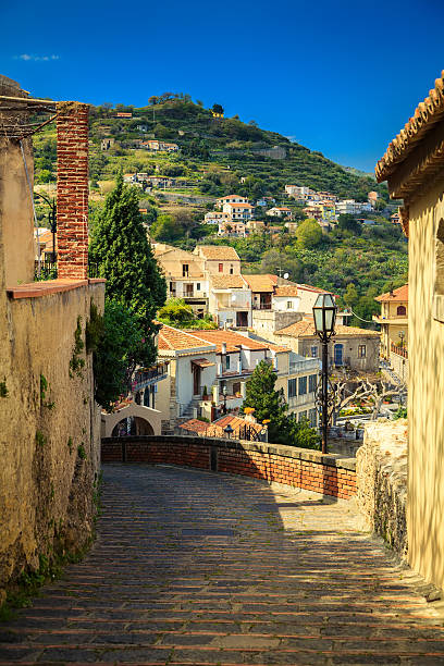 istock stone paving in a small town Savoca 499285776