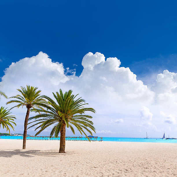 istock Majorca Platja Palmanova beach in Calvia Bol Teules 499288020