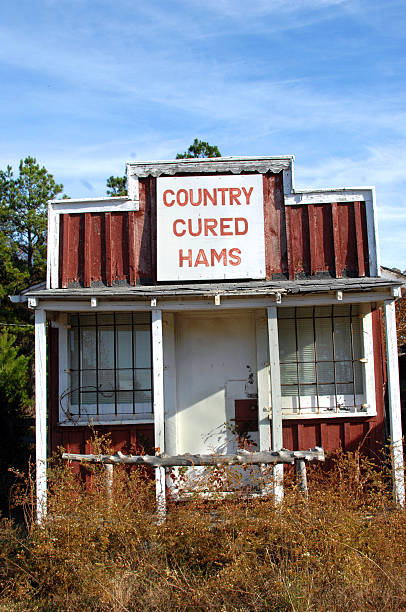 istock Arkansas' Ozark Booger Hollow 499288700