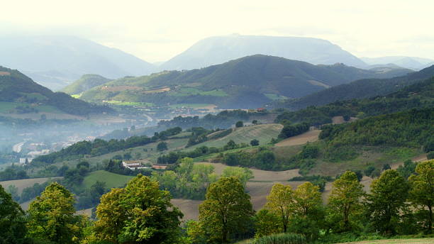istock Mountain landscape with mild fog 499288854