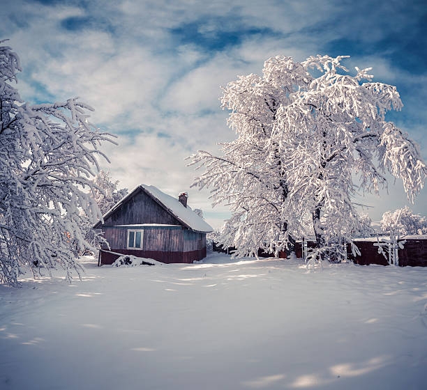 istock heavy snowfall covered the trees and houses 499289510