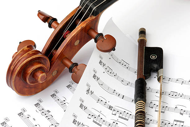 istock Violin Family with Bow 499289550