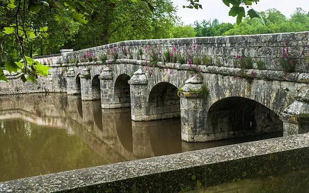 Pink wildflowers grow in the narrow spaces between the stones of this ancient bridge in Chambord, France