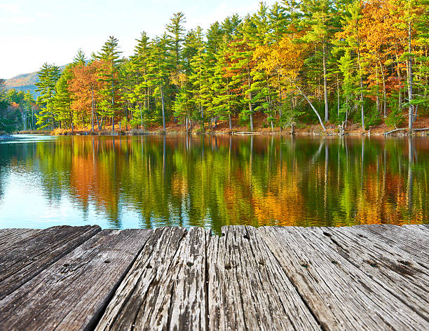 istock Pond in White Mountain National Forest, New Hampshire 499290938