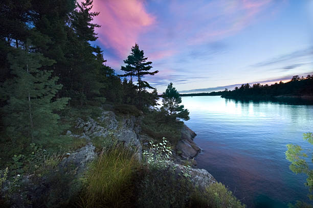 istock Sunny day at the cottage 499291470