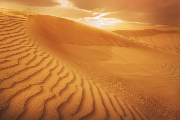 istock sand desert,sunset on UAE desert,Dubai 499291760
