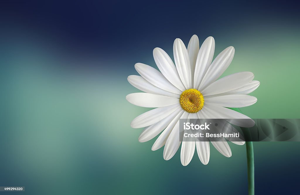 Flower flower 2015 Stock Photo