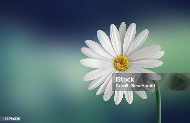 Flower Stock Photo - Download Image Now - 2015, Beauty In Nature, Cycle - Concept