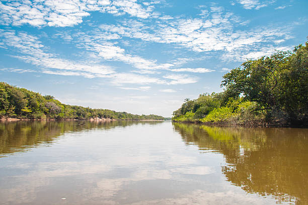 Cauamé River - Rio Cauamé Cauamé River, Boa Vista, Roraima, Brazil. mount roraima south america stock pictures, royalty-free photos & images