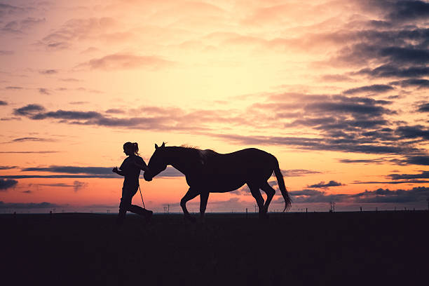 femme course & entraînement avec cheval au coucher du soleil - running horses photos et images de collection