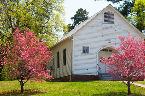 country, church, dogwoods