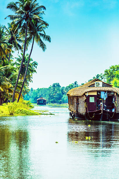 istock Traditional Houseboat on Kerala Backwaters 499305888