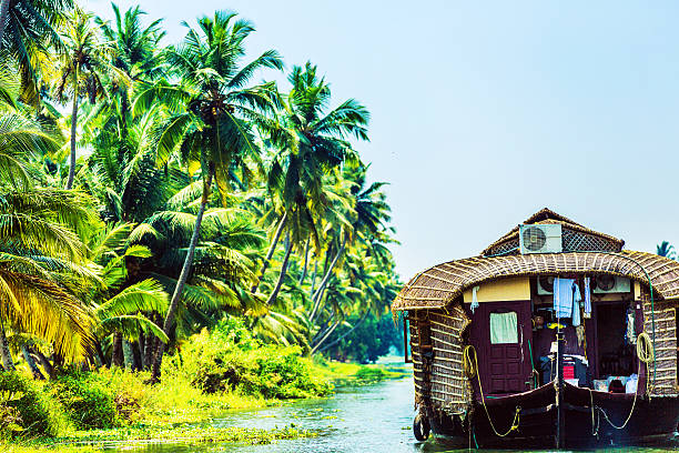 istock Traditional Houseboat on Kerala Backwaters 499306078