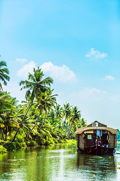 istock Traditional Houseboat on Kerala Backwaters 499306232