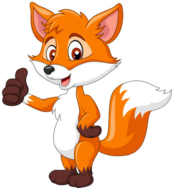 Cartoon funny fox giving thumb up isolated on white background Illustration of Cartoon funny fox giving thumb up isolated on white background fox stock illustrations