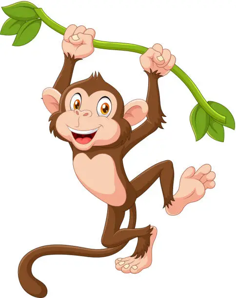 Vector illustration of Cute monkey animal hanging on a vine