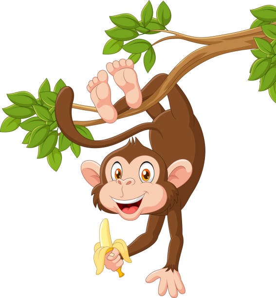 comic glücklicher monkey hängende und hältst banana - cartoon monkey animal tree stock-grafiken, -clipart, -cartoons und -symbole