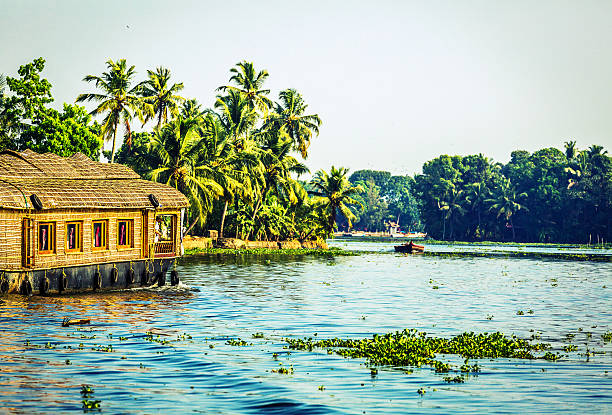 istock Traditional Houseboat on Kerala Backwaters 499307740